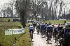 peloton, 

Exterioo Cycling Cup
11th GP Monseré 2022 (BEL)
One day race from Hooglede to Roeselare 

©rhodephoto